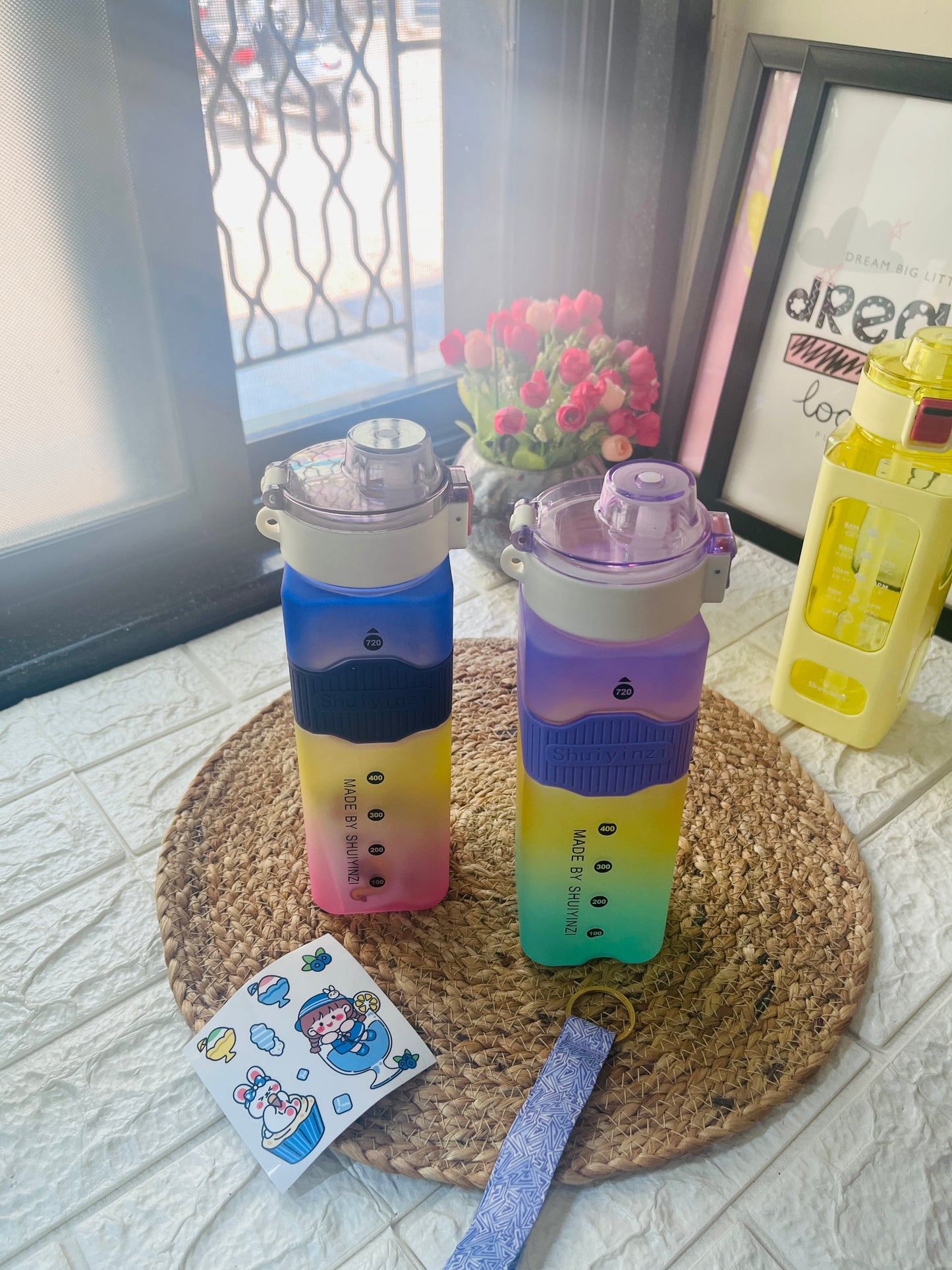 Ombre Motivational Bottles ✨