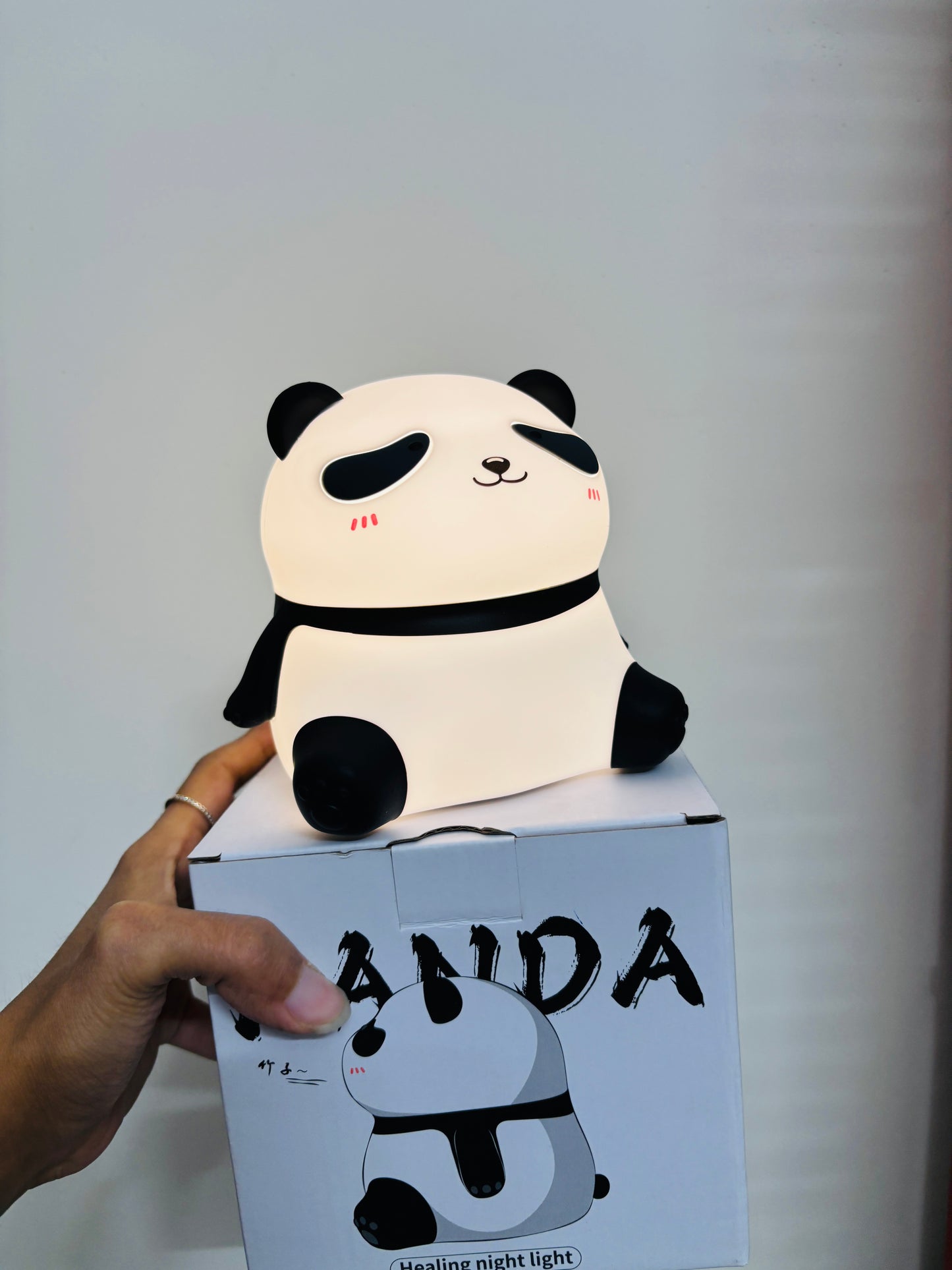 Pookie Panda Lamp 🐼