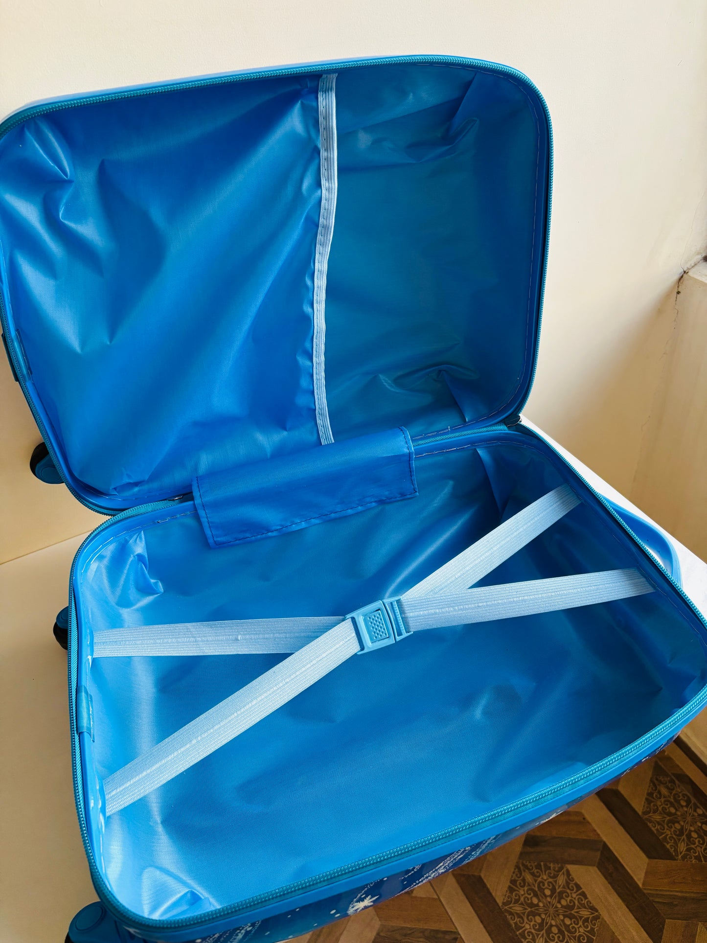 Frozen Trolley Bags