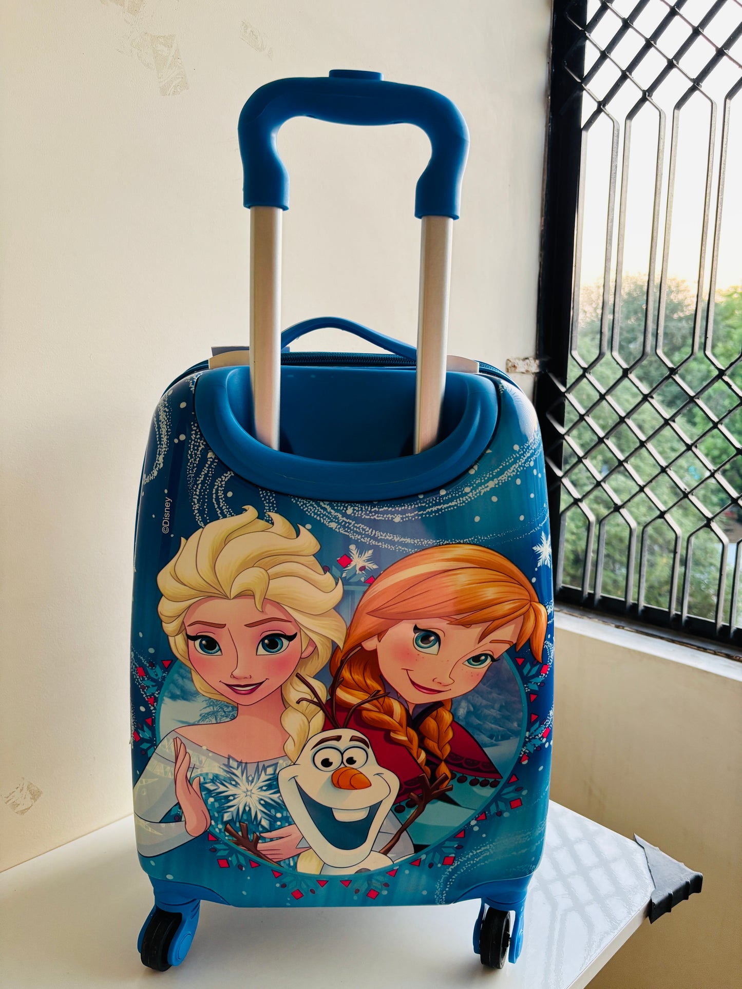 Frozen Trolley Bags