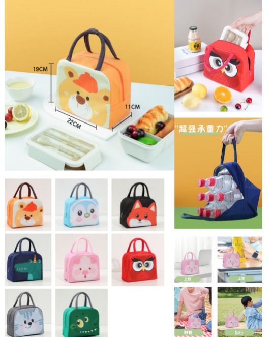 Insulated Lunch Bags ๐ธ