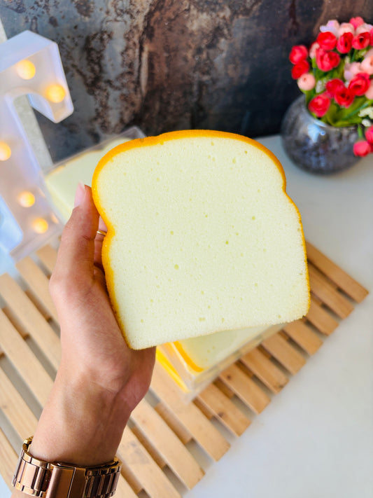 Sandwich Diary 🍞