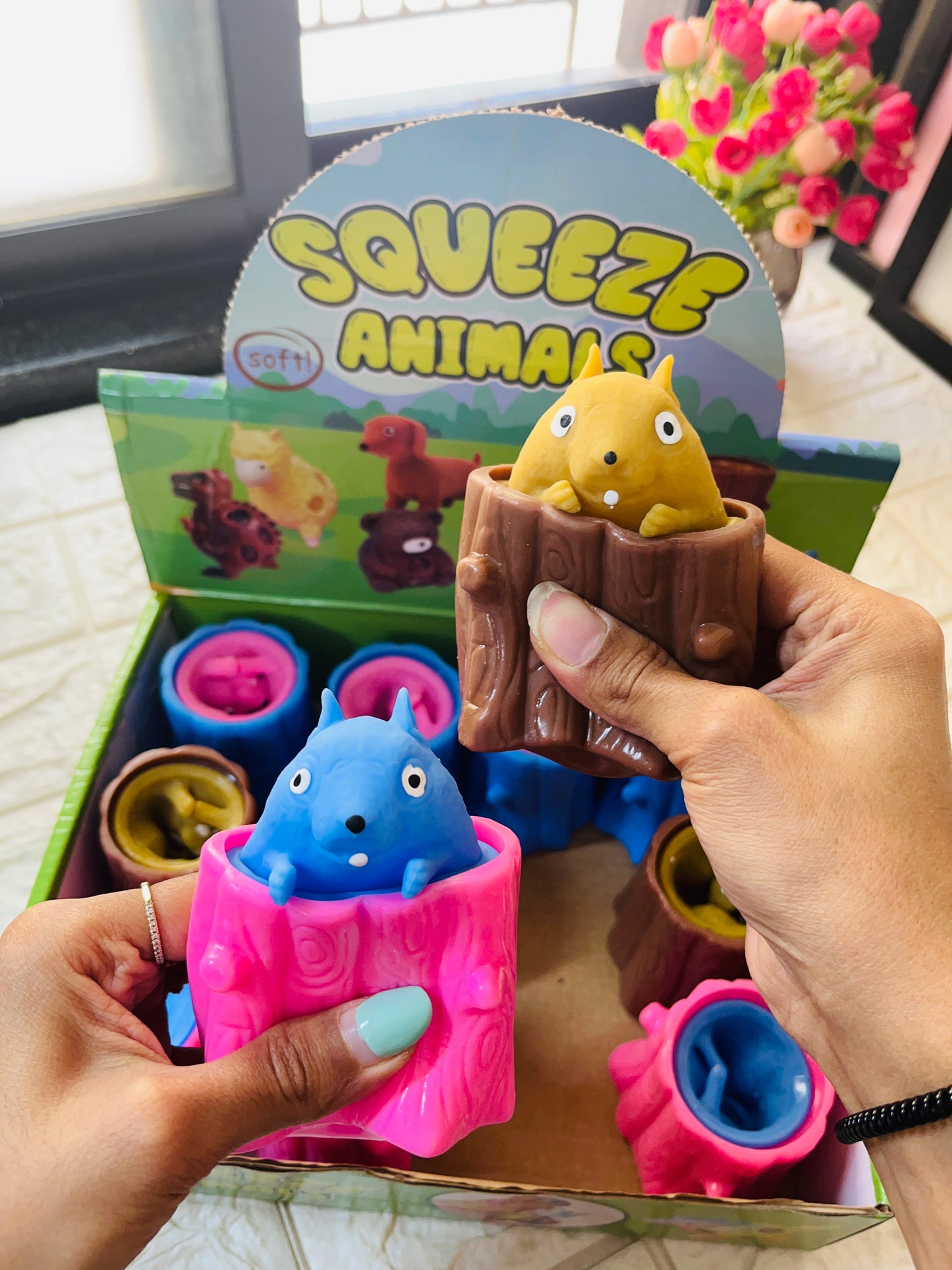 Squishy Toys 🌸