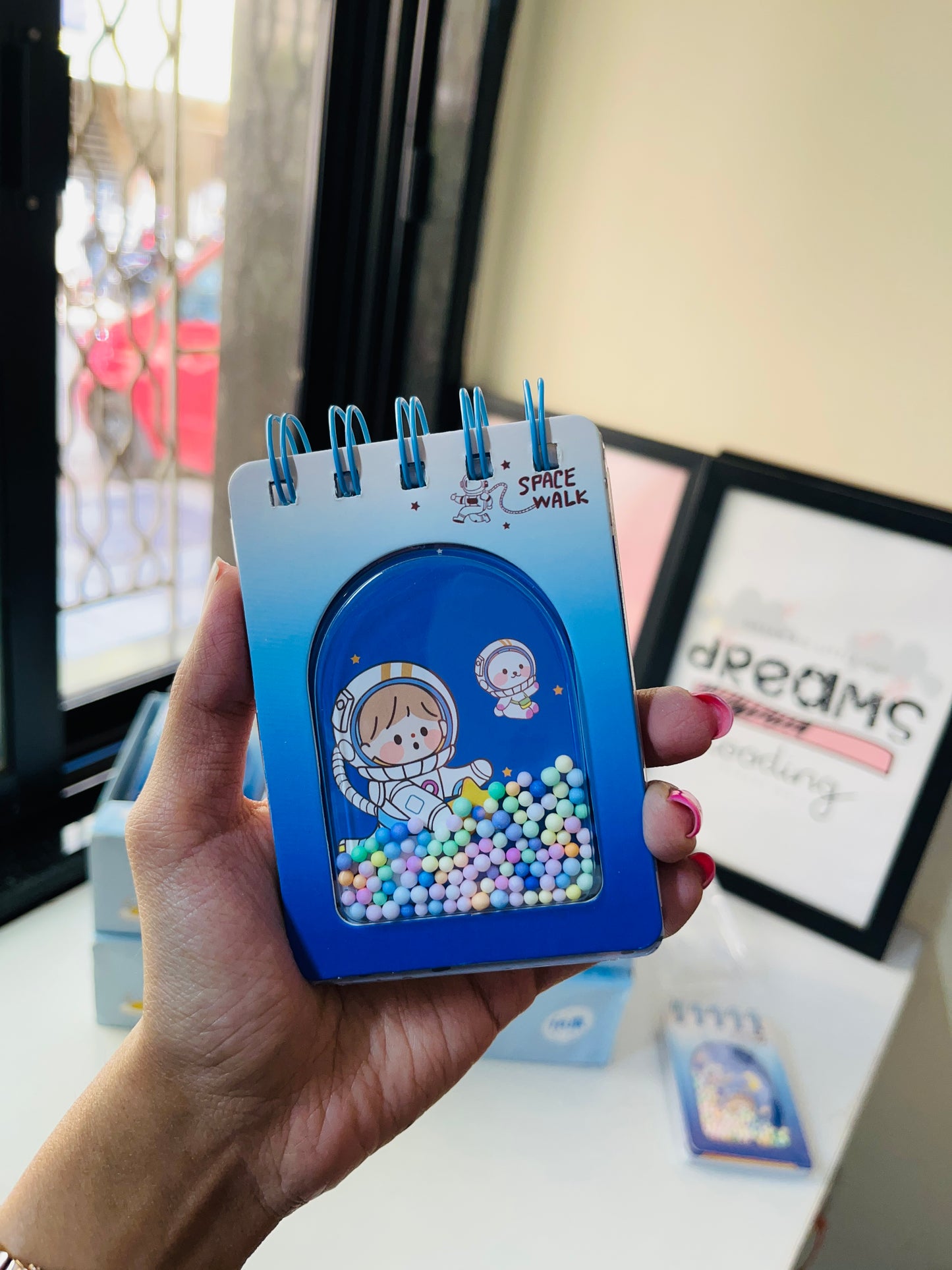 Pocket Diaries