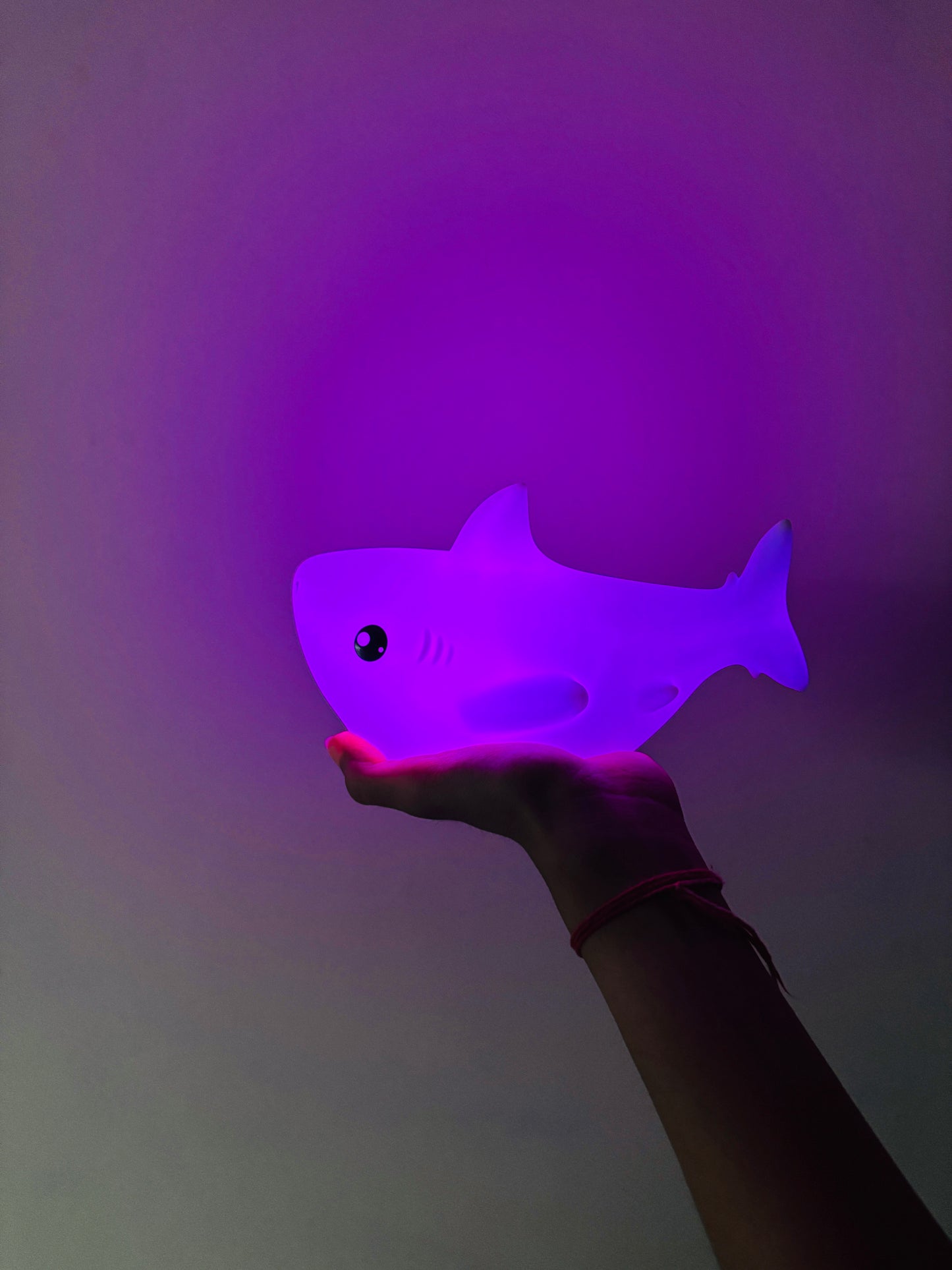 Baby Shark Lamps 🦈