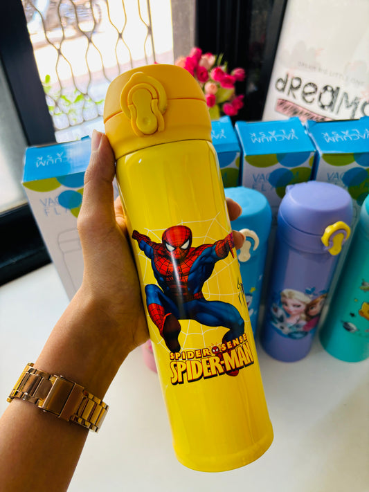 Character Insulated Bottles ✨